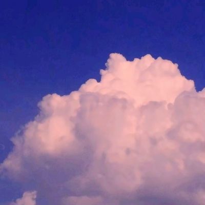 部落总动员九游客户端下载