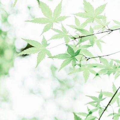 梦回沙城正版下载