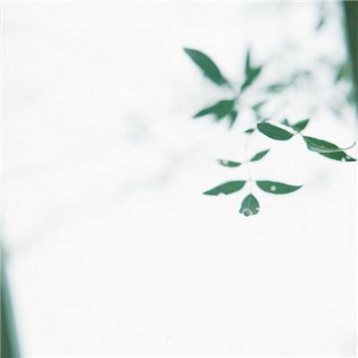 流云天境手游下载